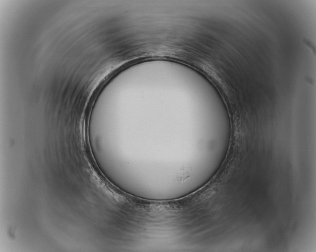 X0000103261032200809121918