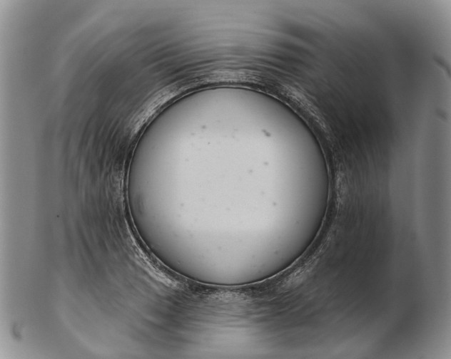 X0000103261033200809121918