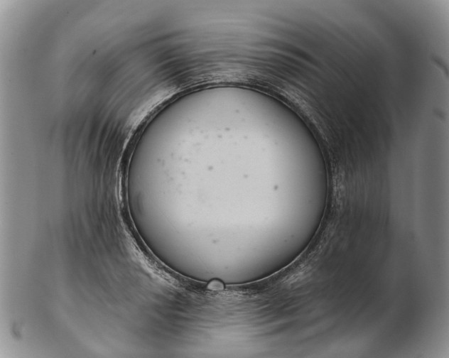 X0000103261034200809121918