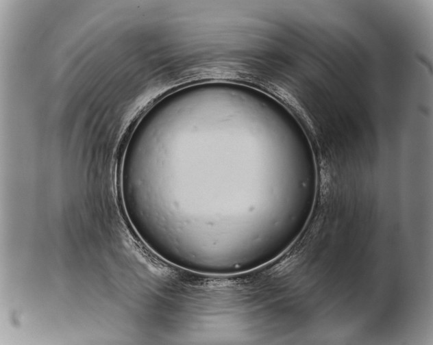 X0000103261035200809121918