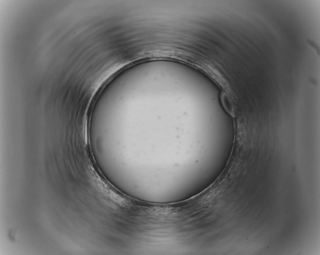 X0000103261036200809121918