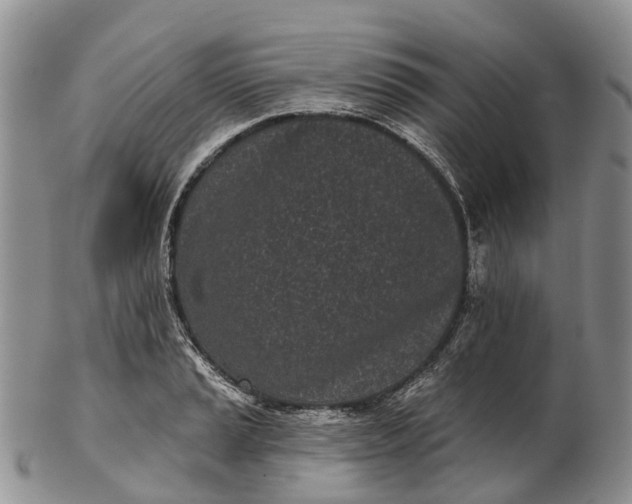 X0000103261037200809121918