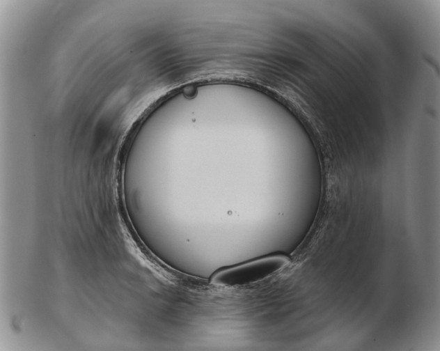 X0000103261038200809121918