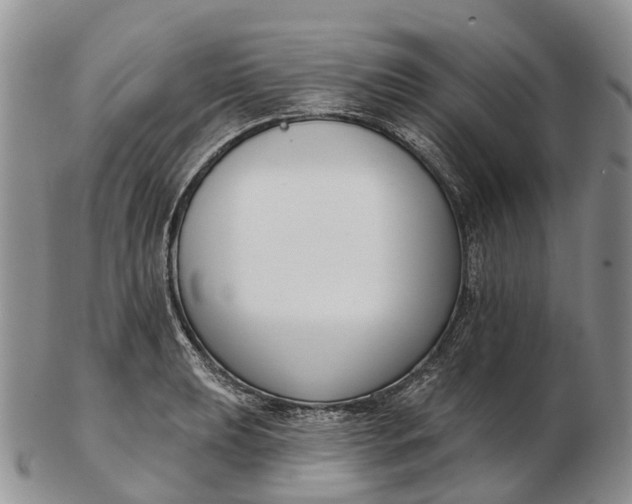 X0000103261039200809121918