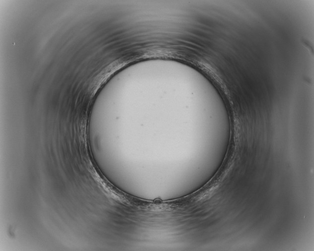 X0000103261041200809121918