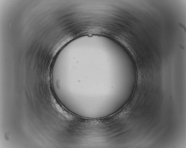 X0000103261042200809121918