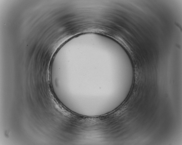 X0000103261044200809121919