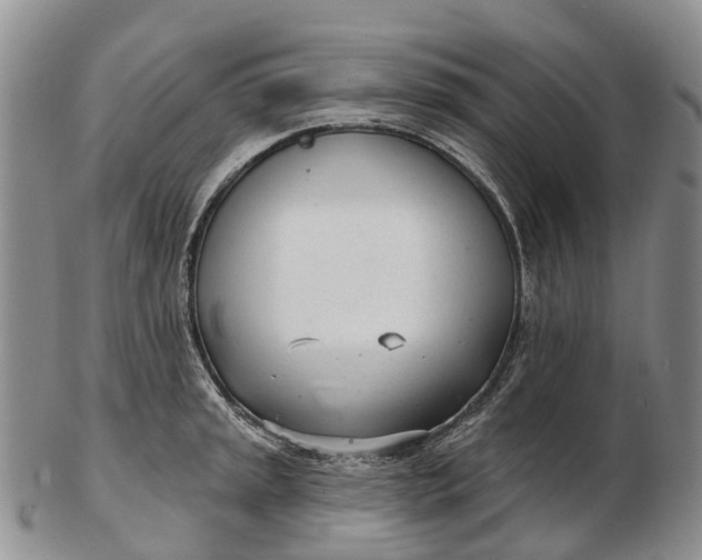 X0000103261045200809121919