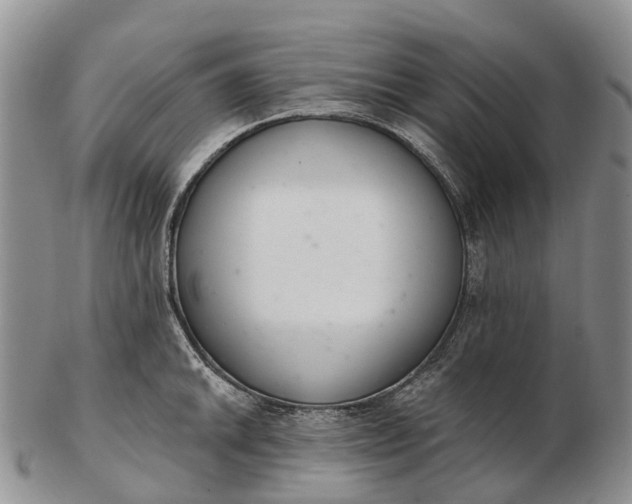 X0000103261046200809121919