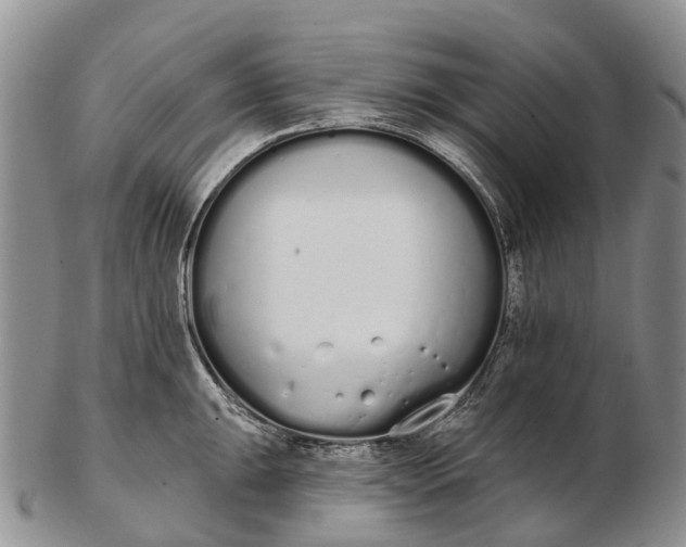 X0000103261047200809121919