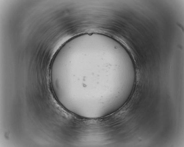 X0000103261048200809121919