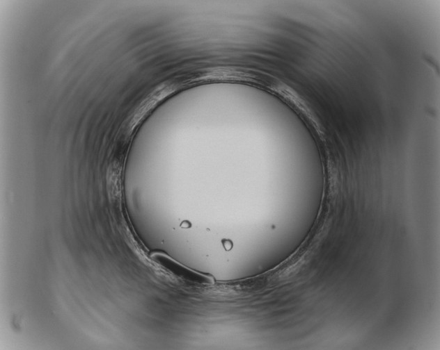 X0000103261049200809121919