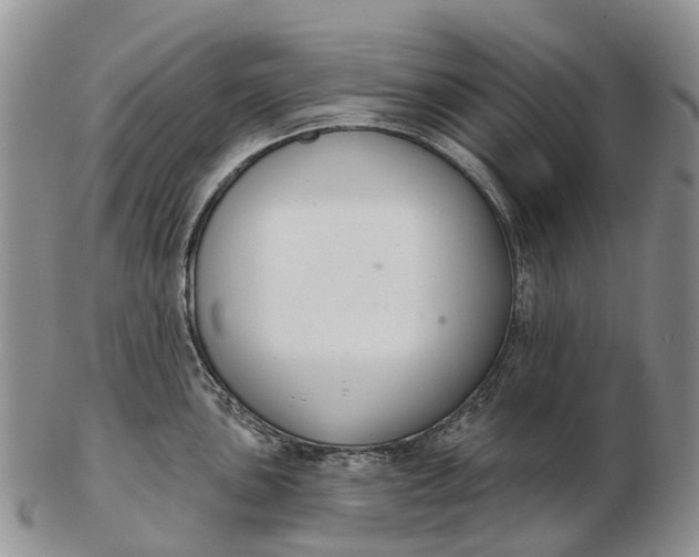 X0000103261051200809121919