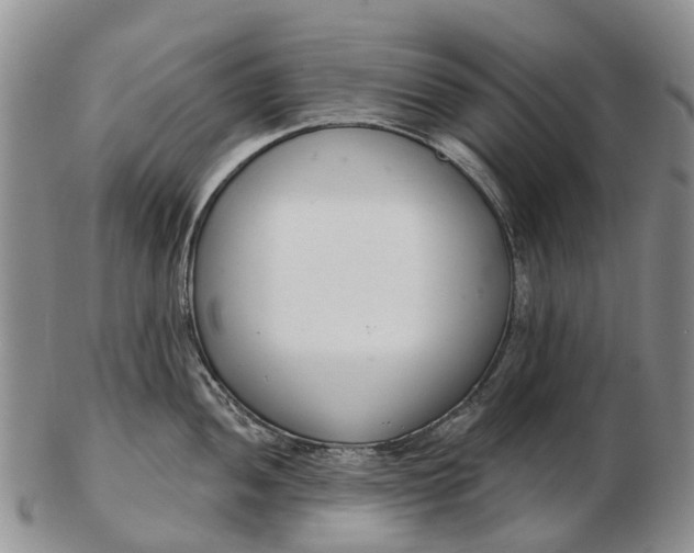 X0000103261052200809121919