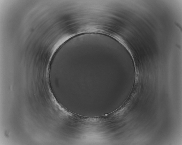 X0000103261053200809121919