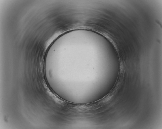 X0000103261054200809121919