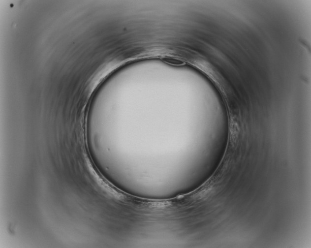 X0000103261055200809121919