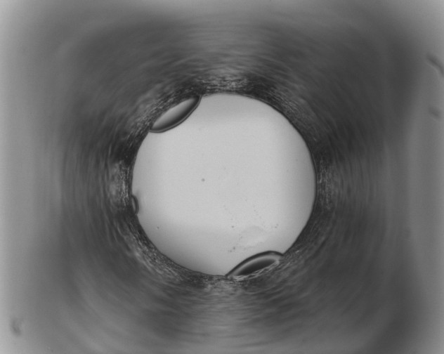 X0000103261058200809121918