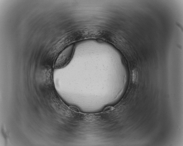 X0000103261059200809121918