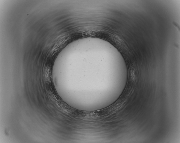 X0000103261060200809121918