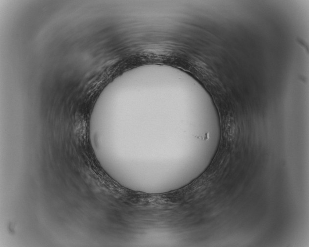 X0000103261061200809121918