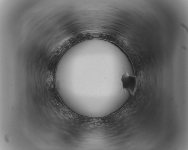 X0000103261062200809121918