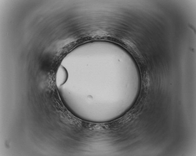 X0000103261063200809121918