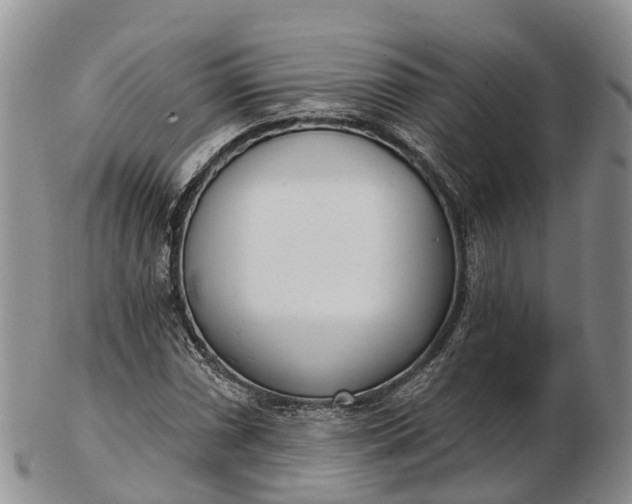 X0000103261066200809121918