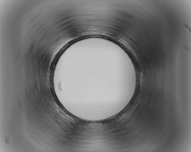 X0000103261068200809121918