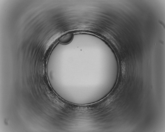 X0000103261069200809121918