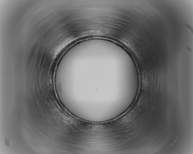 X0000103261070200809121918