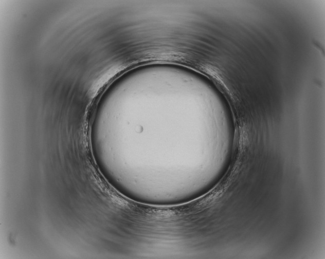 X0000103261071200809121918