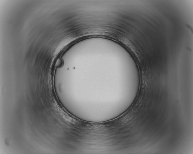 X0000103261072200809121918