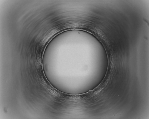 X0000103261073200809121918