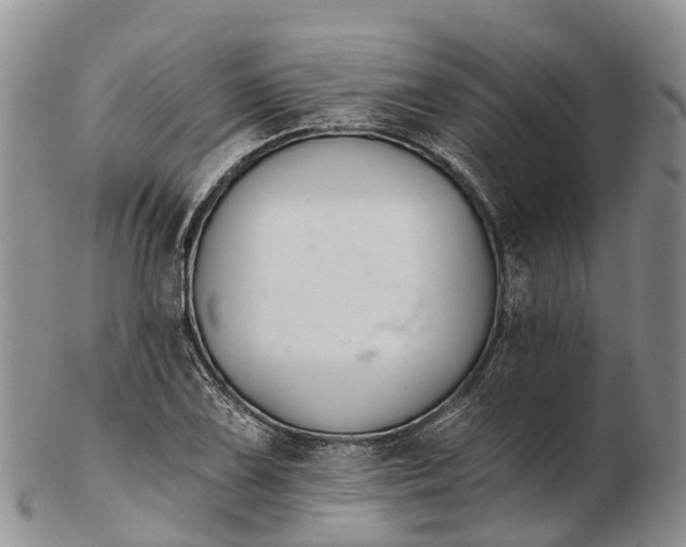 X0000103261075200809121918