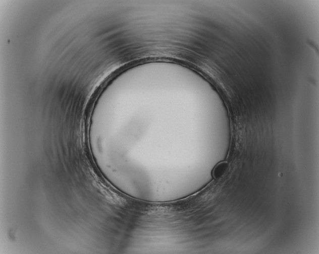 X0000103261076200809121918