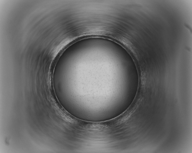 X0000103261077200809121918