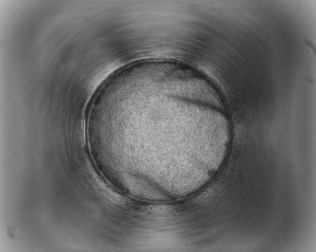 X0000103261079200809121918