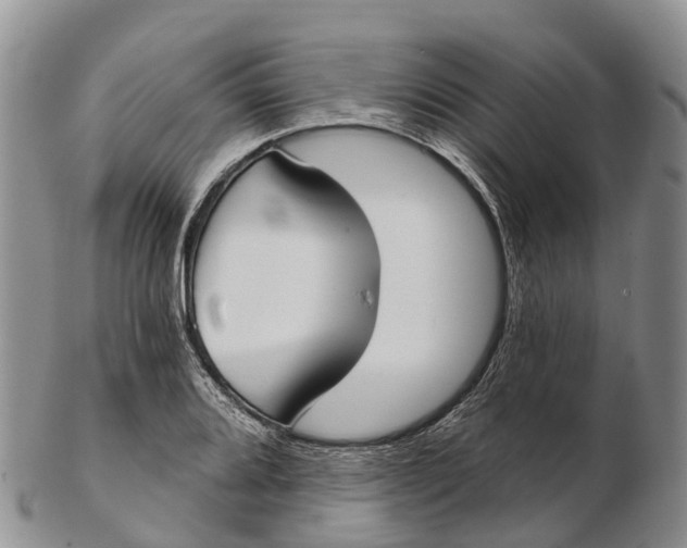 X0000103261080200809121918