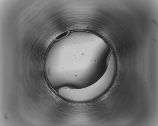 X0000103261081200809121918