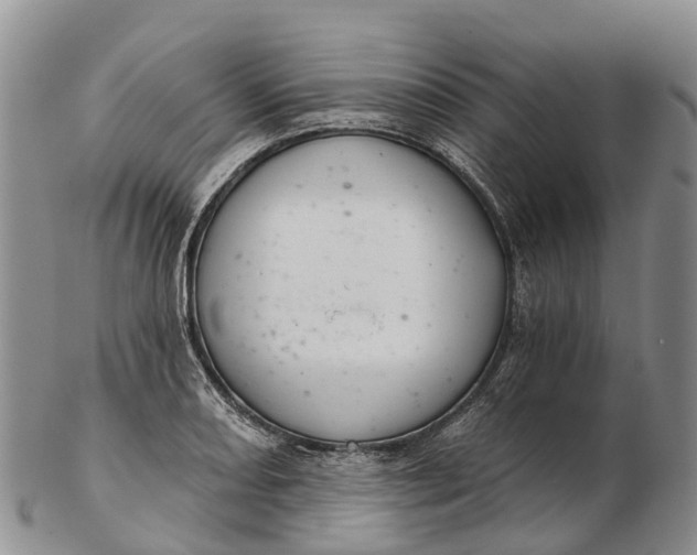 X0000103261082200809121918