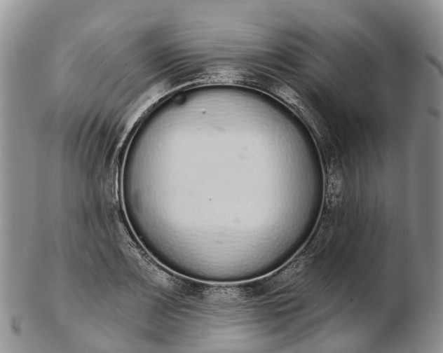 X0000103261083200809121918