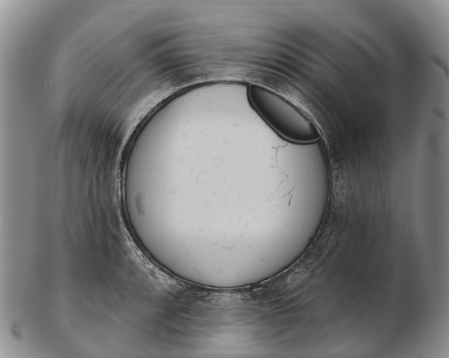 X0000103261088200809121918