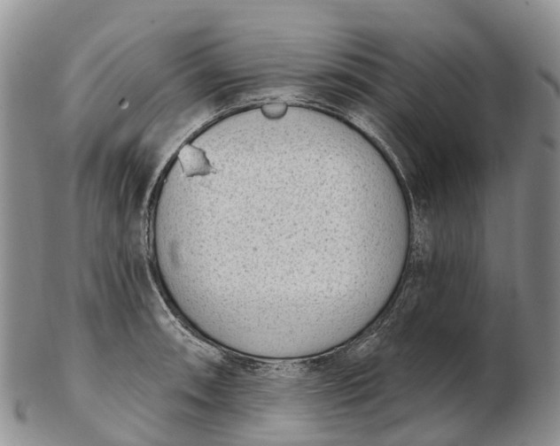 X0000103261090200809121918