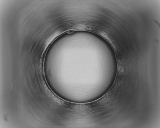 X0000103261091200809121918