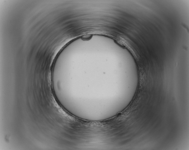 X0000103261092200809121918