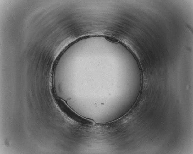 X0000103261093200809121918