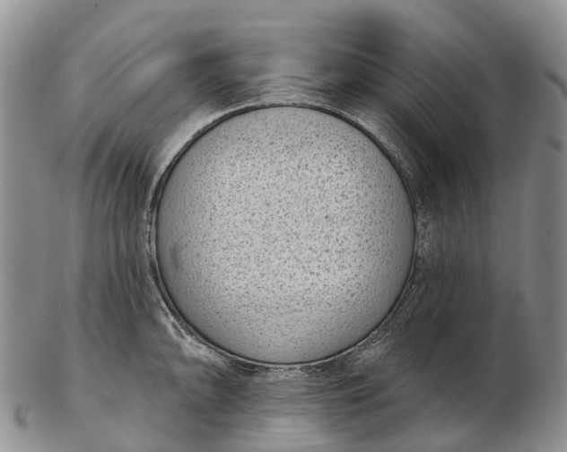 X0000103261094200809121918