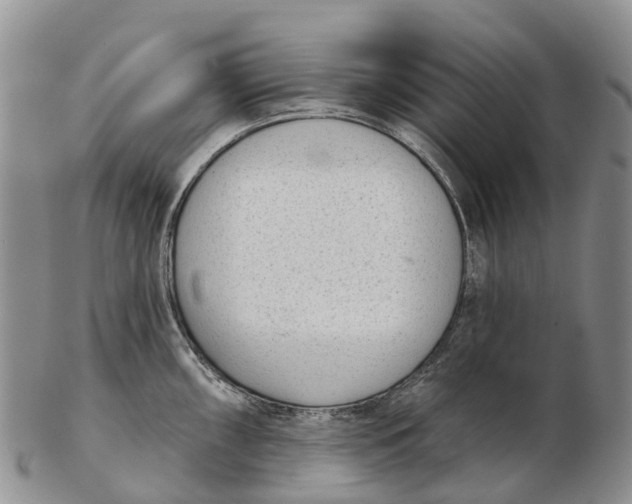 X0000103261098200809121917