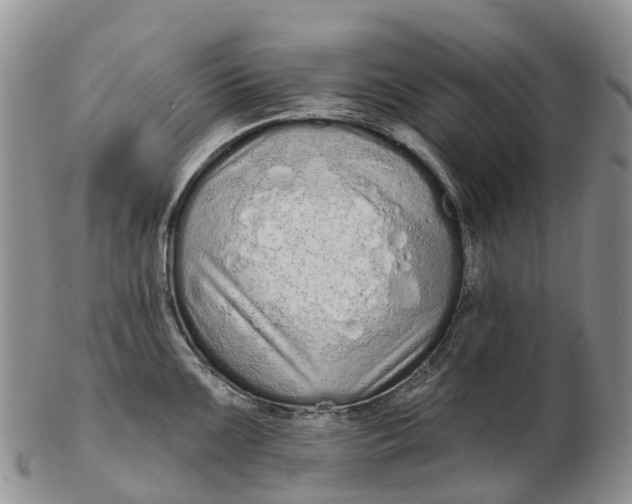 X0000103261099200809121917